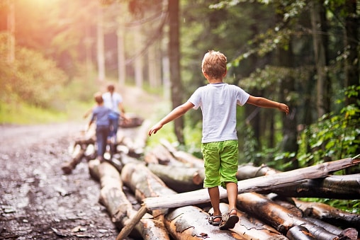 A child is walking on a pile of downed logs on the edge of a fire road. His arms are spread out for balance. His parents are 50 feet ahead of him.